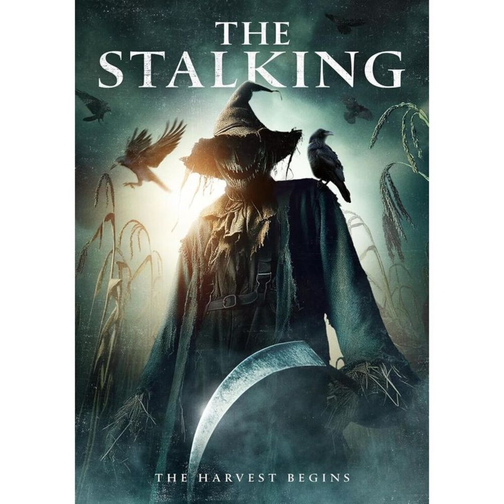 The Stalking  DVD